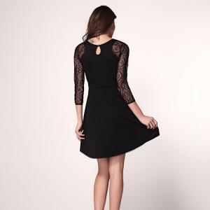 Sleeve Crew Neck Hollow Lace Sexy Dress